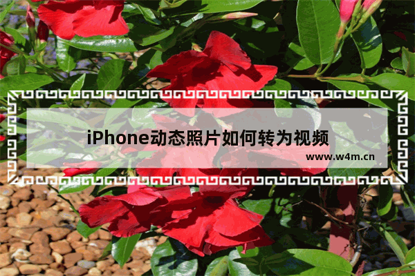 iPhone动态照片如何转为视频