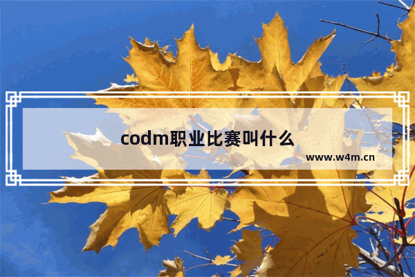 codm职业比赛叫什么