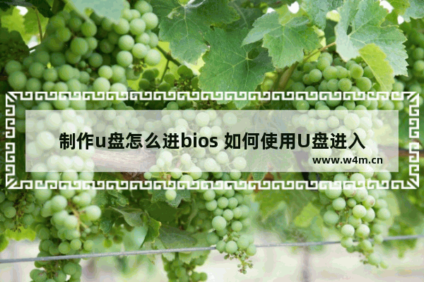 制作u盘怎么进bios 如何使用U盘进入电脑BIOS