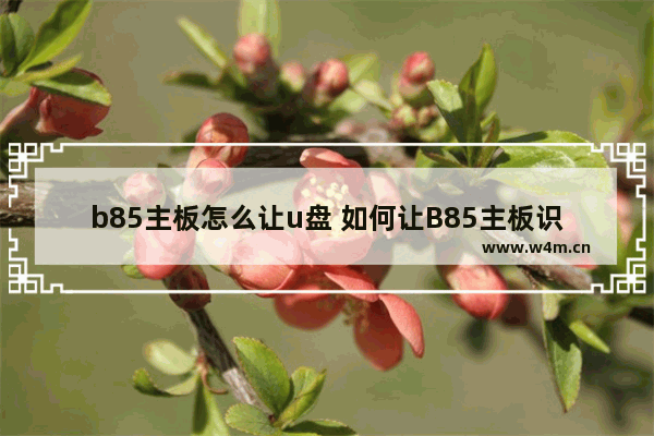 b85主板怎么让u盘 如何让B85主板识别U盘？