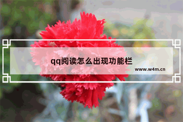 qq阅读怎么出现功能栏