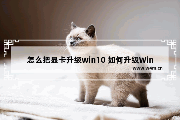 怎么把显卡升级win10 如何升级Windows 10的显卡？