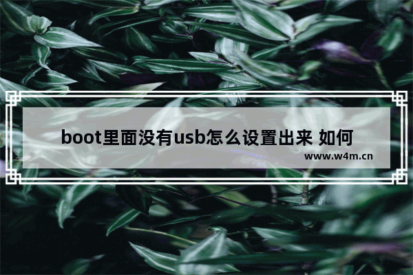 boot里面没有usb怎么设置出来 如何在没有usb的情况下设置boot?