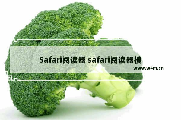 Safari阅读器 safari阅读器模式打不开