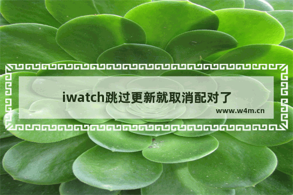 iwatch跳过更新就取消配对了