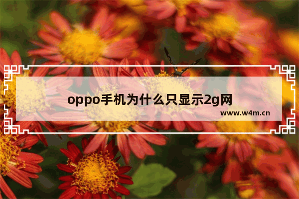 oppo手机为什么只显示2g网