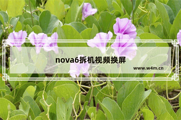 nova6拆机视频换屏