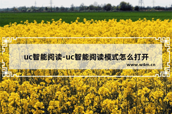 uc智能阅读-uc智能阅读模式怎么打开