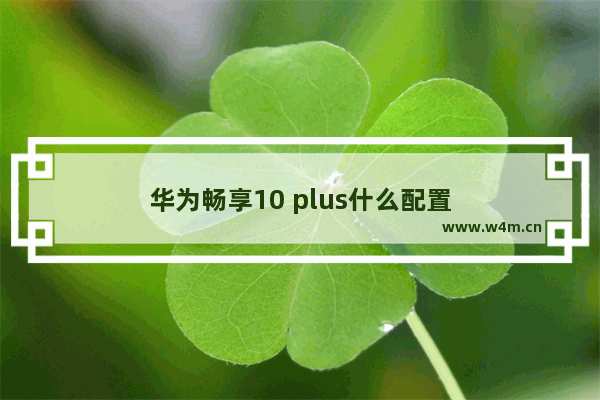 华为畅享10 plus什么配置