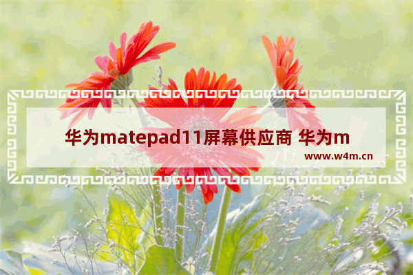 华为matepad11屏幕供应商 华为matepad11屏幕供应商怎么看