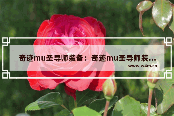 奇迹mu圣导师装备：奇迹mu圣导师装备选择