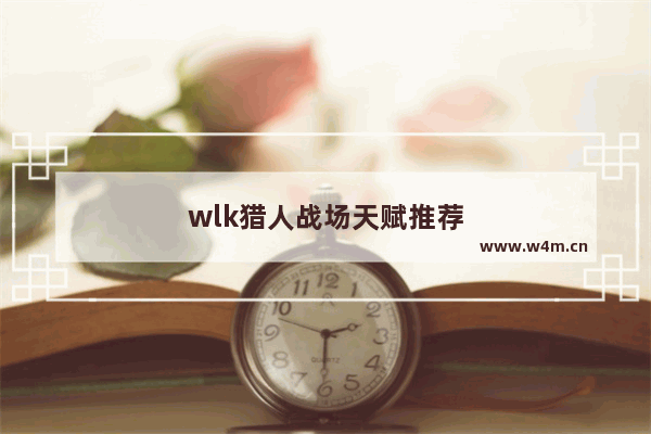 wlk猎人战场天赋推荐