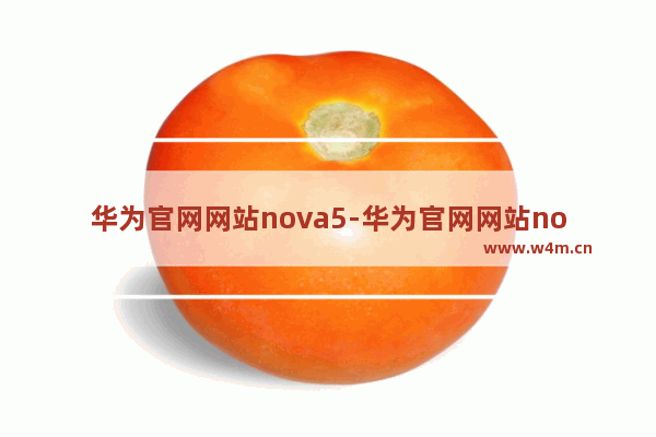 华为官网网站nova5-华为官网网站nova5pro