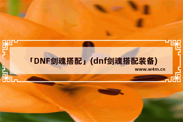 「DNF剑魂搭配」(dnf剑魂搭配装备)