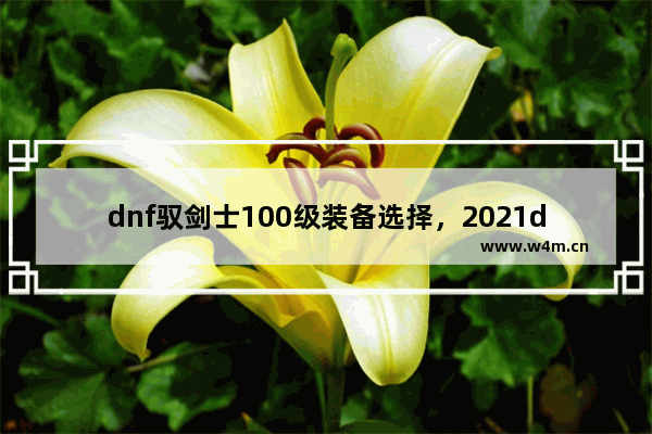 dnf驭剑士100级装备选择，2021dnf驭剑士100级装备选择