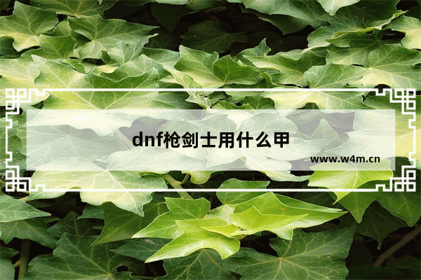 dnf枪剑士用什么甲