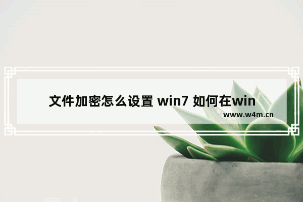 文件加密怎么设置 win7 如何在win7中设置文件加密？