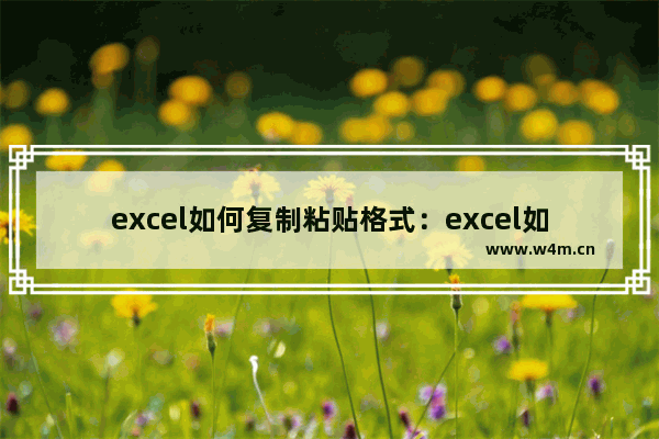 excel如何复制粘贴格式：excel如何复制粘贴格式不变