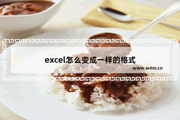 excel怎么变成一样的格式