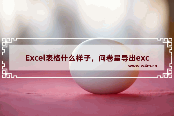 Excel表格什么样子，问卷星导出excel表格什么样子