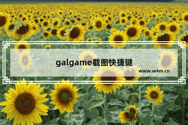 galgame截图快捷键