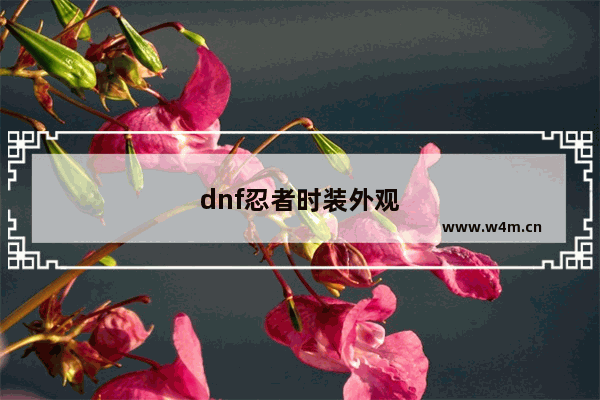 dnf忍者时装外观