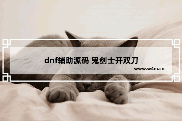 dnf辅助源码 鬼剑士开双刀