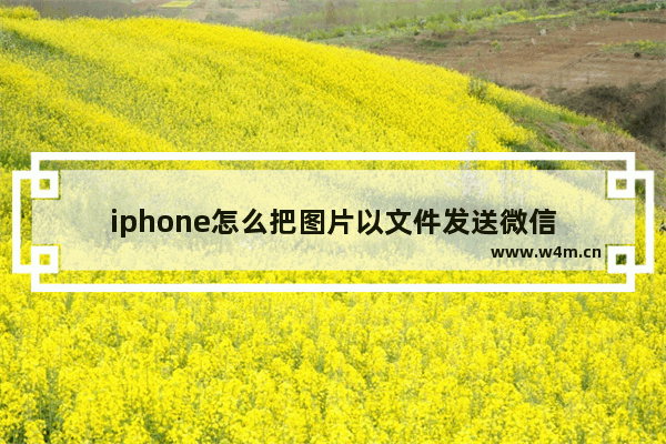 iphone怎么把图片以文件发送微信