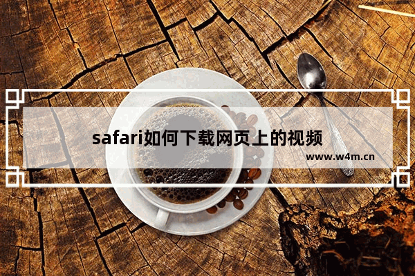 safari如何下载网页上的视频