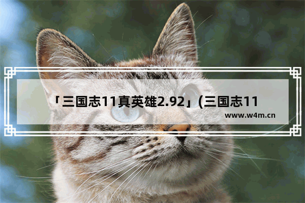 「三国志11真英雄2.92」(三国志11真英雄2.92特技)