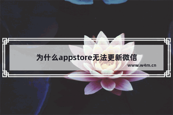 为什么appstore无法更新微信