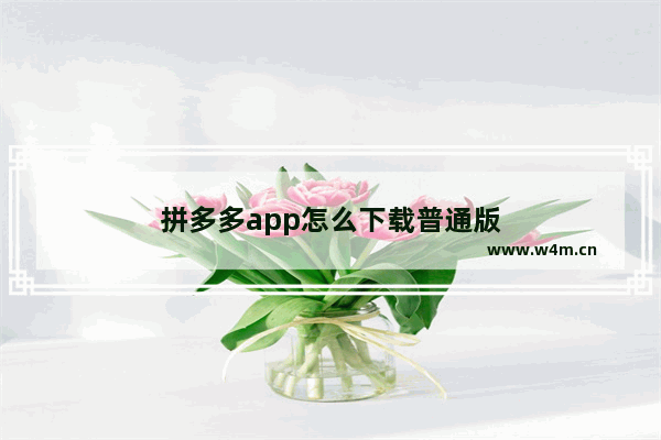 拼多多app怎么下载普通版