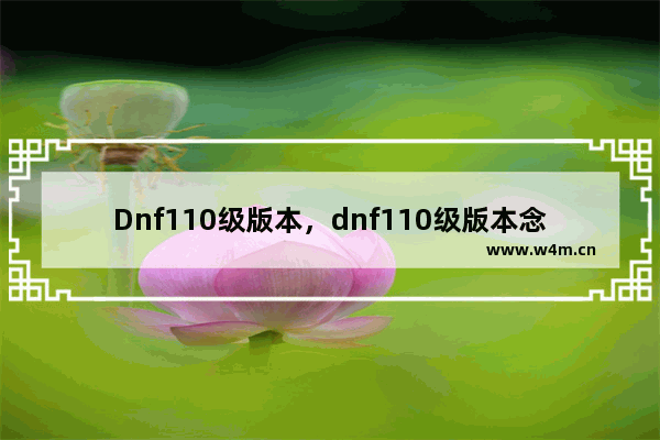 Dnf110级版本，dnf110级版本念皇毕业装备怎么搭配