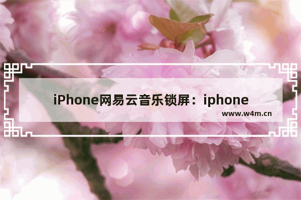 iPhone网易云音乐锁屏：iphone网易云音乐锁屏不显示控制面板