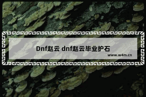 Dnf赵云 dnf赵云毕业护石