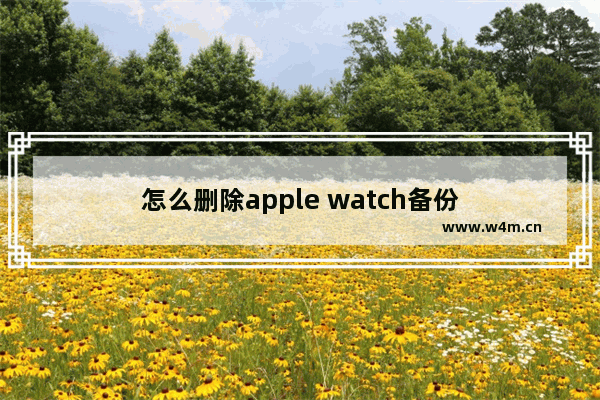 怎么删除apple watch备份