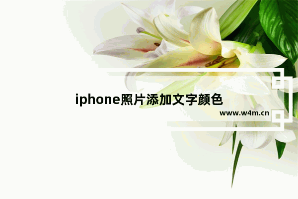 iphone照片添加文字颜色