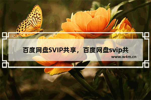 百度网盘SVIP共享，百度网盘svip共享账号源码