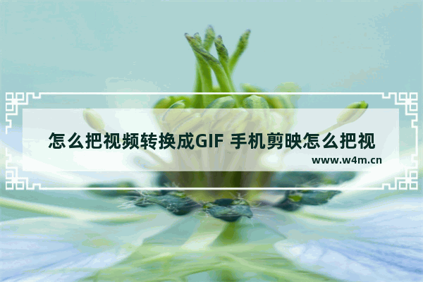 怎么把视频转换成GIF 手机剪映怎么把视频转换成gif动图