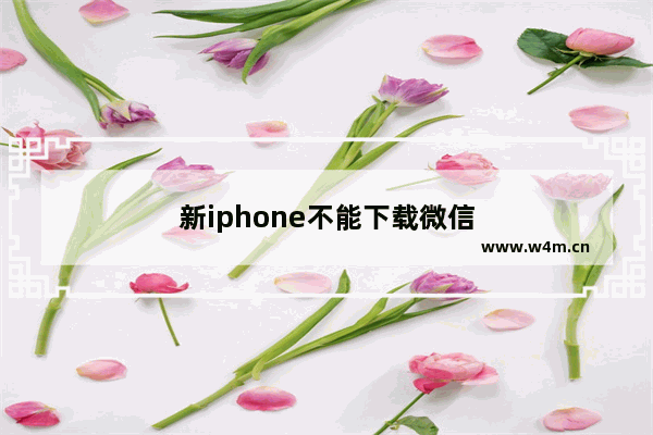 新iphone不能下载微信