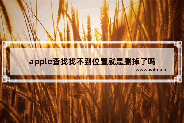 apple查找找不到位置就是删掉了吗