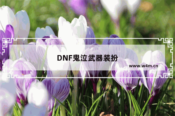 DNF鬼泣武器装扮