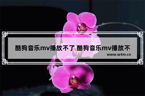 酷狗音乐mv播放不了 酷狗音乐mv播放不了怎么办