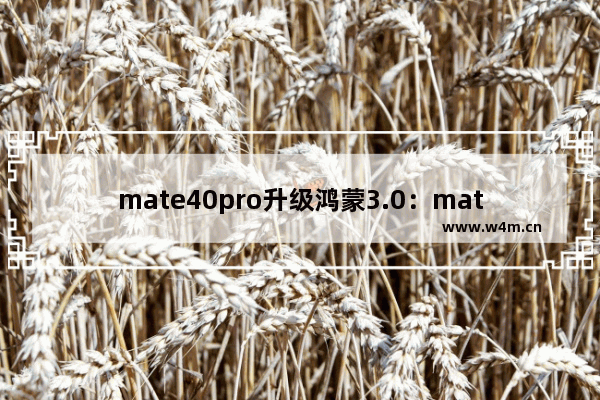 mate40pro升级鸿蒙3.0：mate40pro升级鸿蒙3.0怎么样