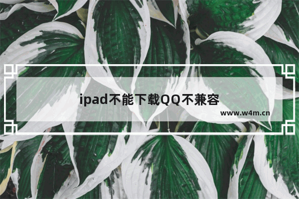 ipad不能下载QQ不兼容