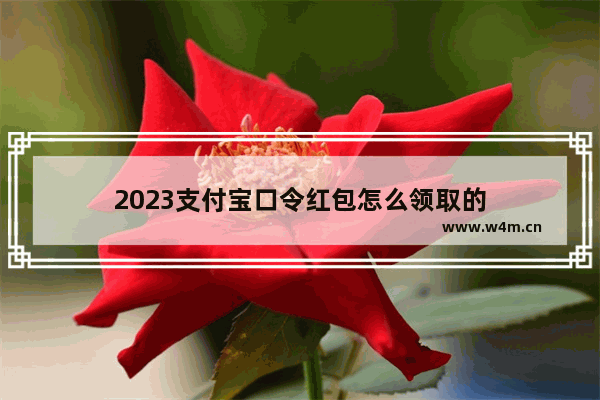 2023支付宝口令红包怎么领取的