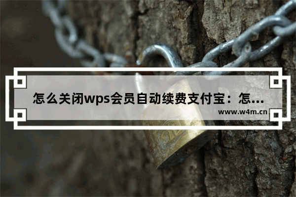 怎么关闭wps会员自动续费支付宝：怎么关闭wps会员自动续费支付宝付款