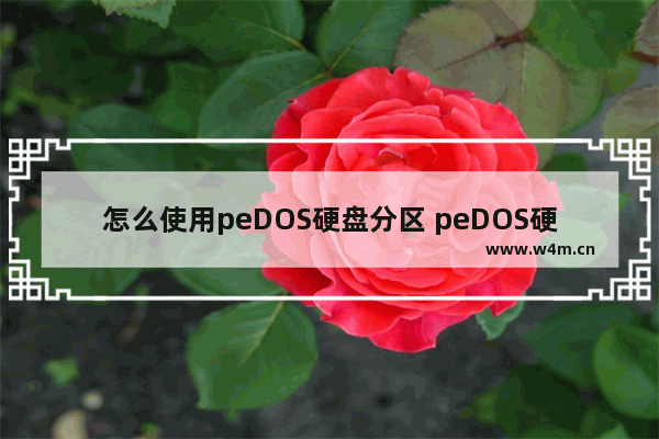 怎么使用peDOS硬盘分区 peDOS硬盘分区使用技巧