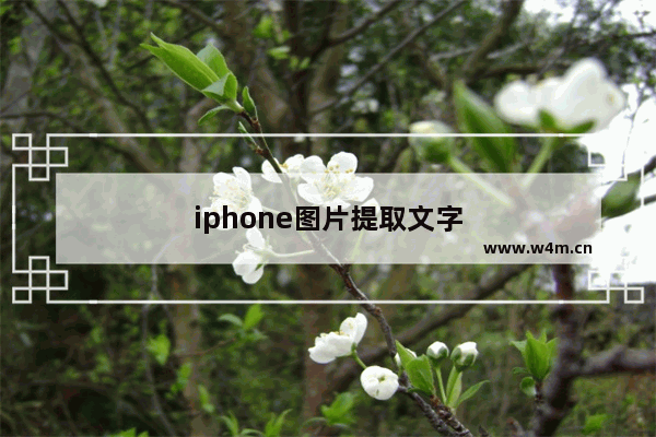 iphone图片提取文字