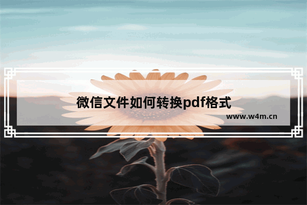 微信文件如何转换pdf格式